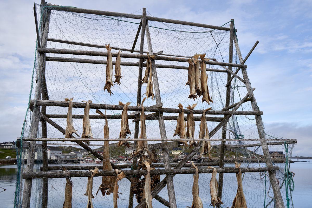 A wooden rack with fishing nets hanging by a calm bay