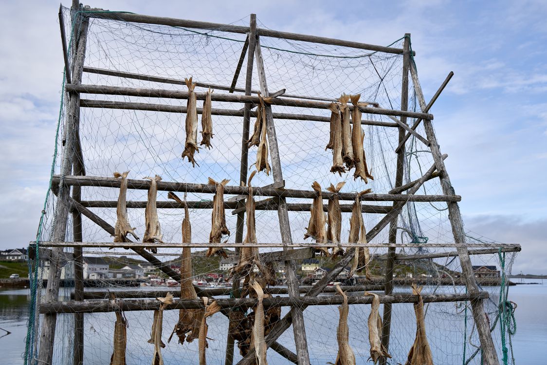 drying pulp over fish nets Hwayslon Hanging Net Foldable Drying Rack Net Dryer 19.7"x19.7"x37.4" 6 Layer Folding Mesh Collapsible Dry Net with Zippers for Fish Vegetables Drying Seeds Fruit Herb : Home & Kitchen How to Make Overnight Dried