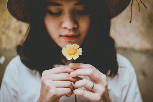 Person Holding Sunflower