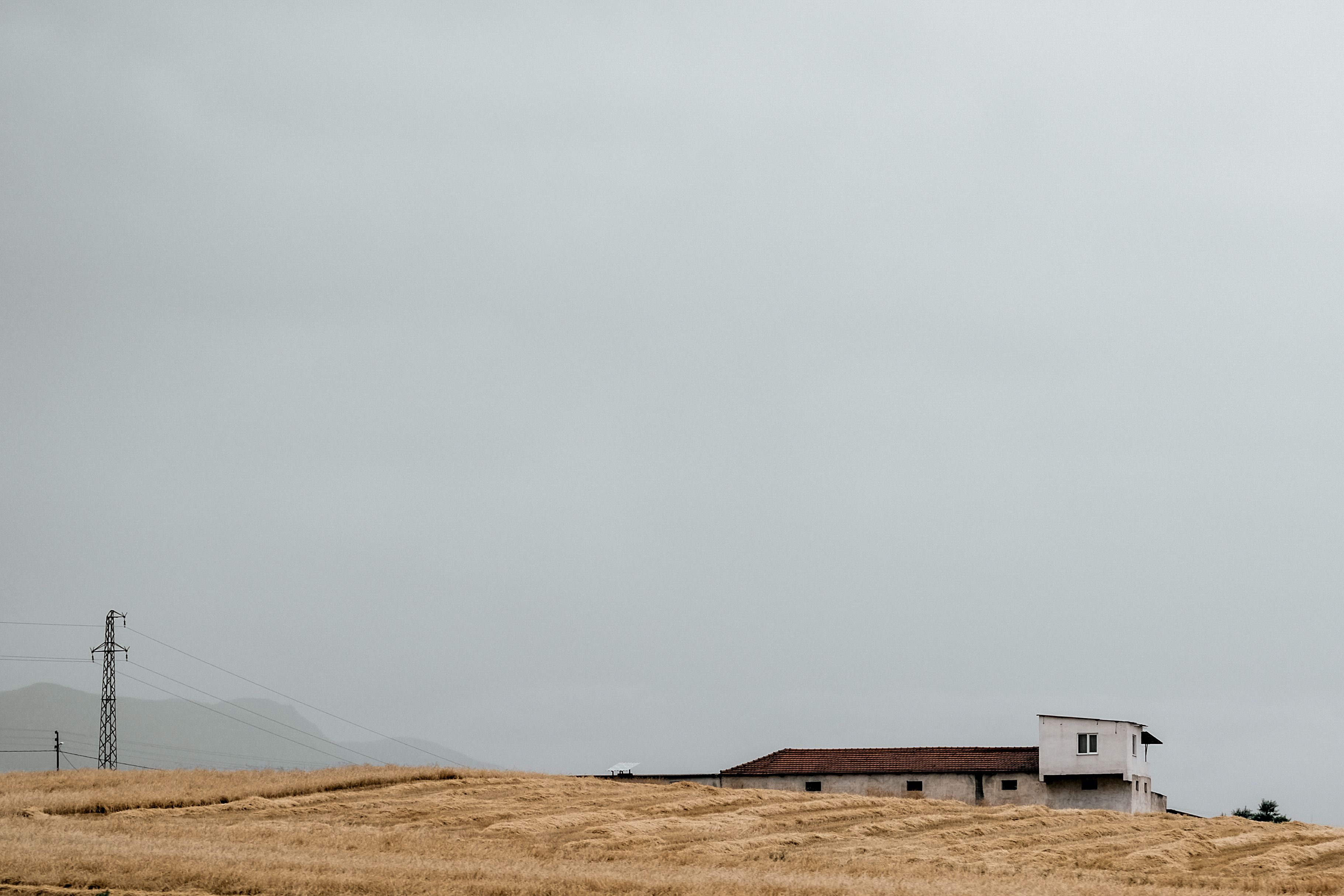 A lonely rural house situated in a wheat field under a cloudy sky.