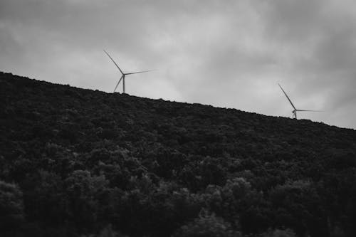 Free Wind Turbines on Hill Grayscale Photo Stock Photo