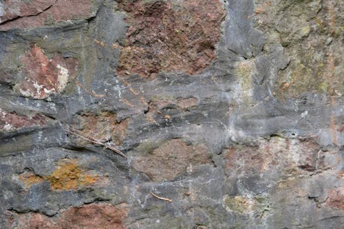 Immagine gratuita di muro, parete di pietra, sfondi