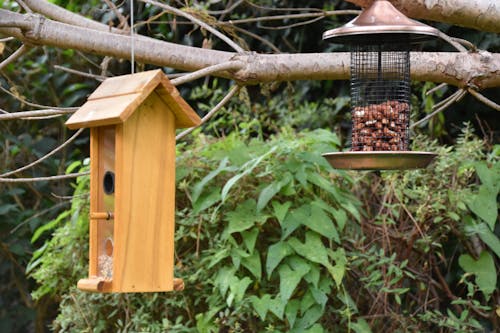 Free stock photo of bird feeder, feeders, garden photos