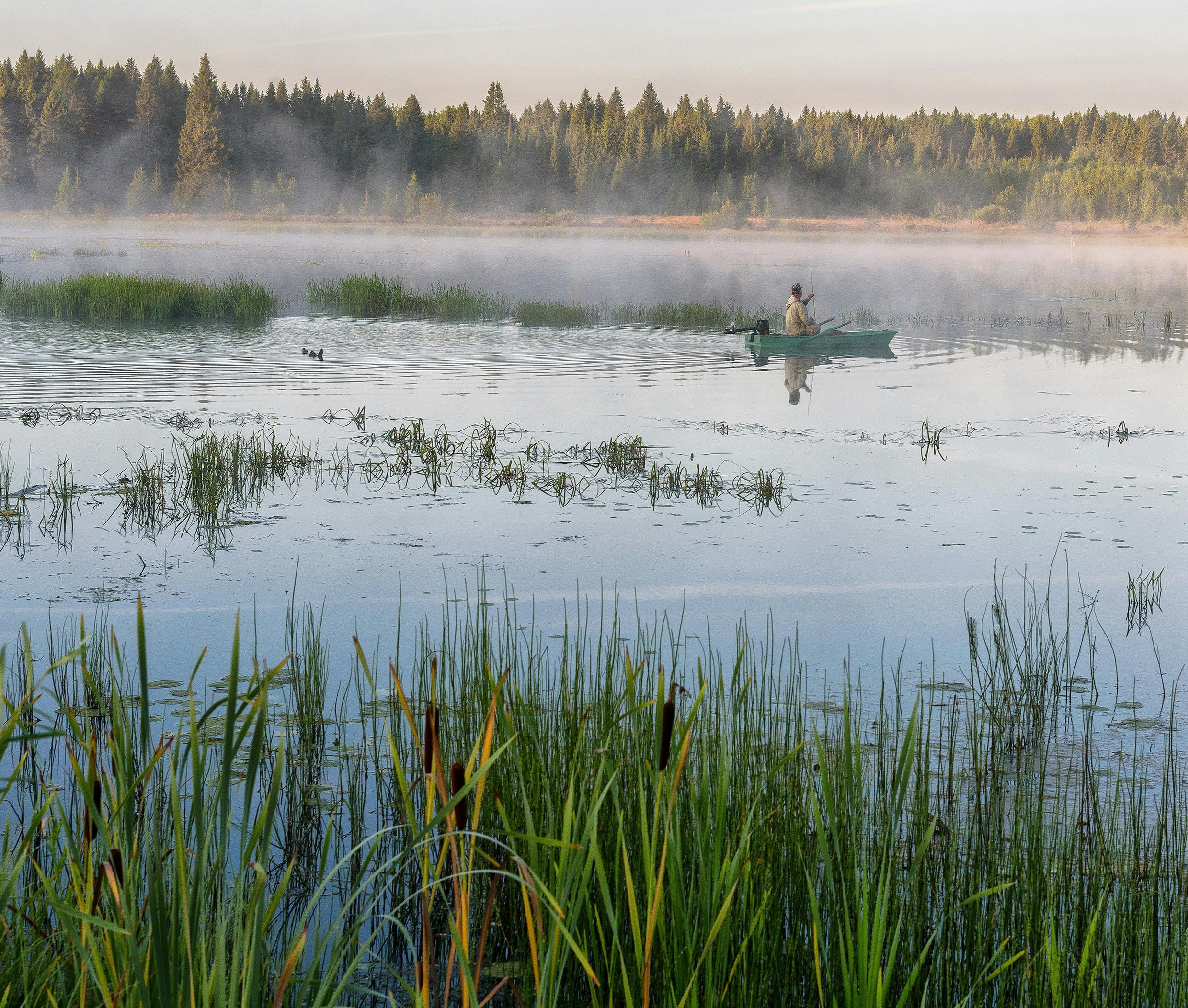 Policy Brief: Outdoor Recreation and Public Health — Photo by Евгений Карепанов on Pexels