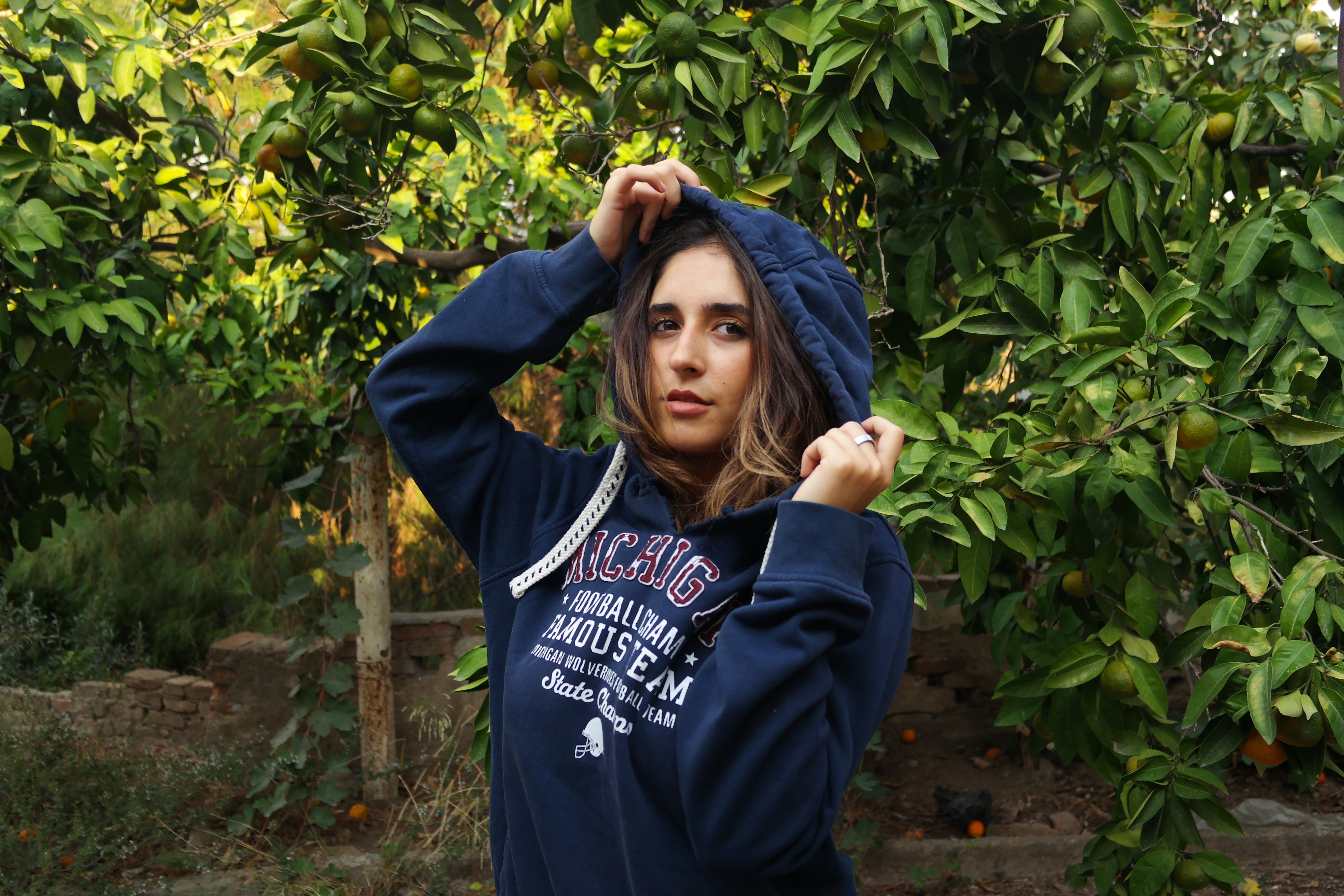Tentree Organic Hoodie