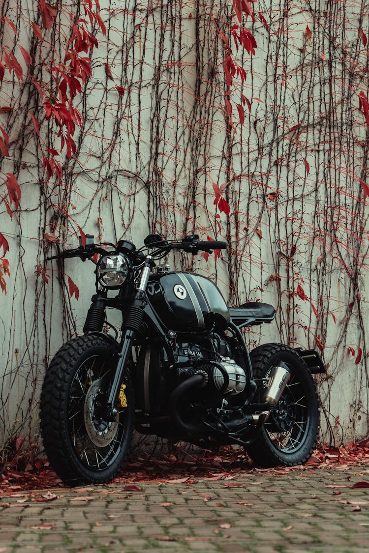 Black Motorcycle In Front Of Wall Covered In Vines