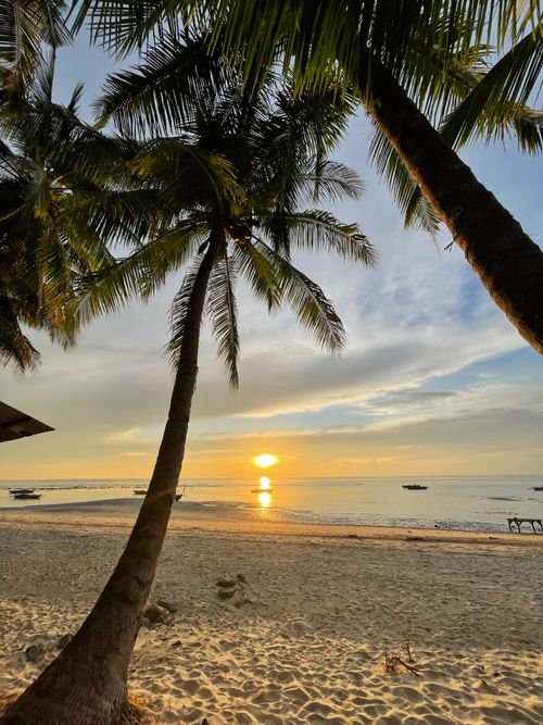 Free Beautiful sunrise over a tropical beach in the Philippines with palm trees and calm sea. Stock Photo