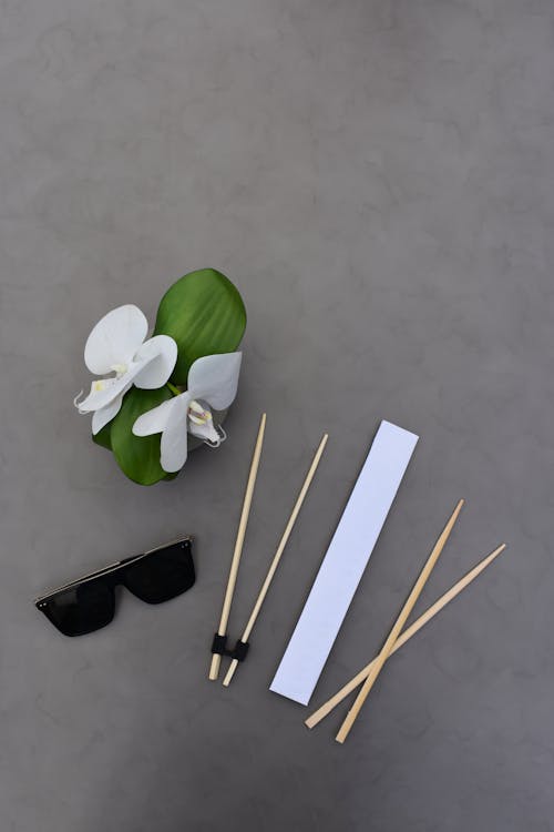 Darmowe zdjęcie z galerii z białe kwiaty, liść, okulary słoneczne