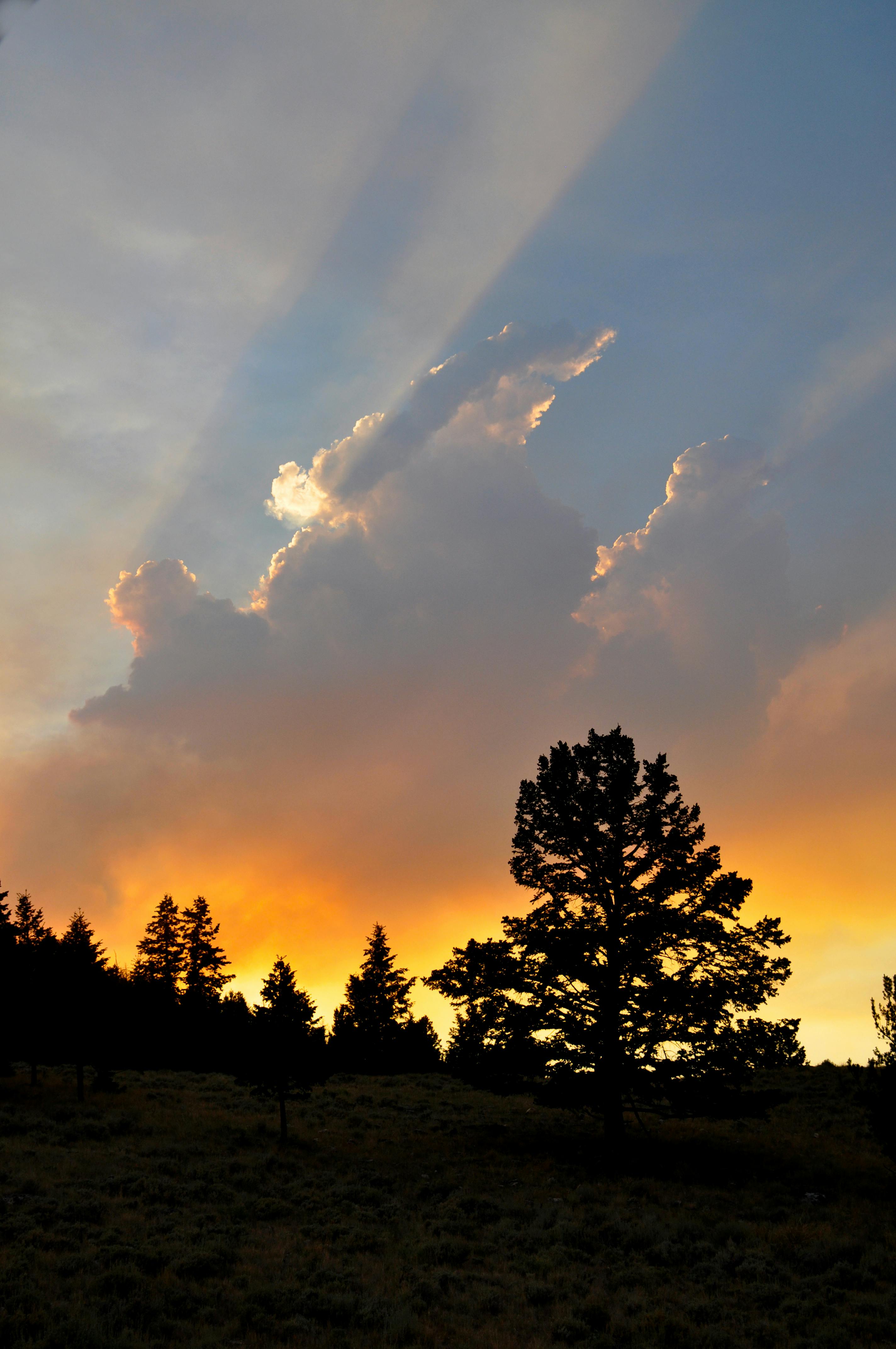 Rugby players forming a defensive line during a match