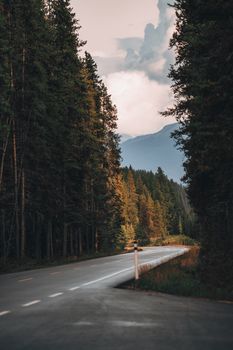 A quiet road meanders through the lush forest of Banff National Park, Alberta, Canada.