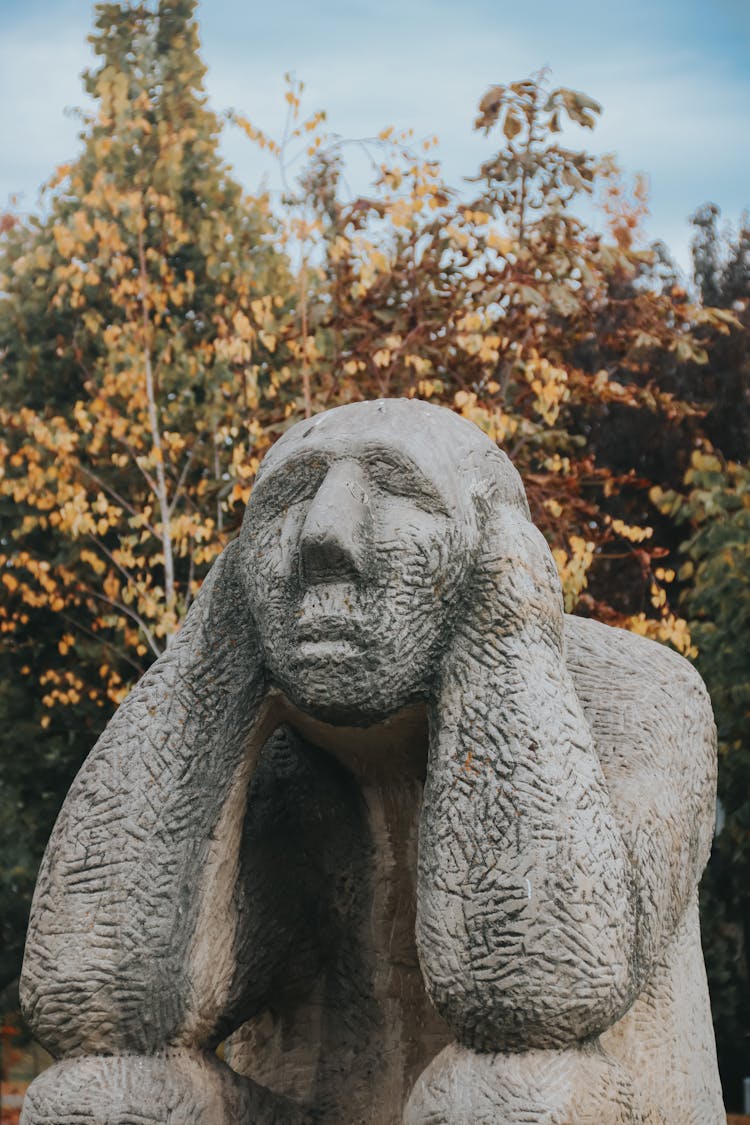 Statue In A Park 