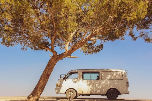 White Van Parked Under a Tree