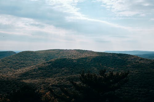 Gratis stockfoto met blauwe lucht, dronefoto, groene berg