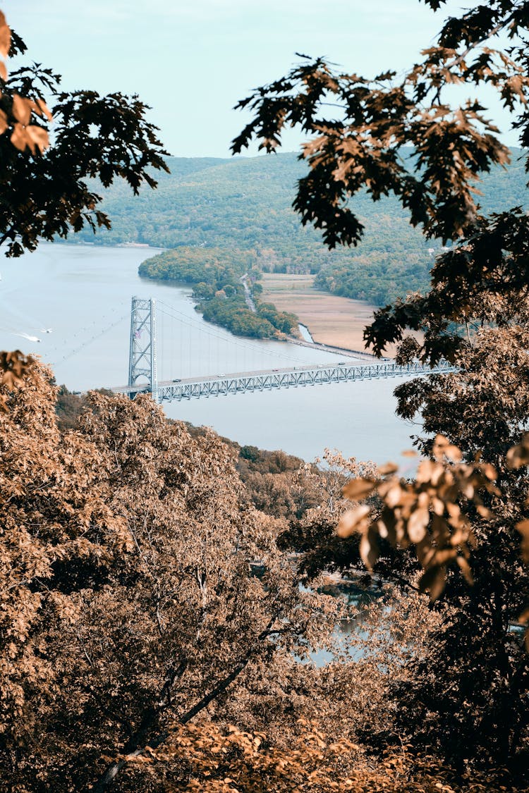 Gray Bridge Over The River