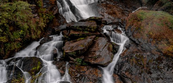 Sikkim Enchanting Expedition - Activity & Sightseeing