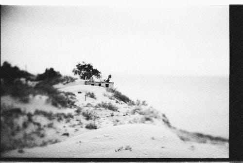 Kostenloses Stock Foto zu baum, graustufen, haus