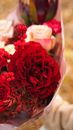 Beautiful Red Flowers and Berries in Bouquet