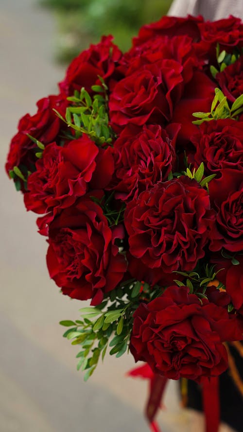 Free Red Roses in Close Up Photography Stock Photo
