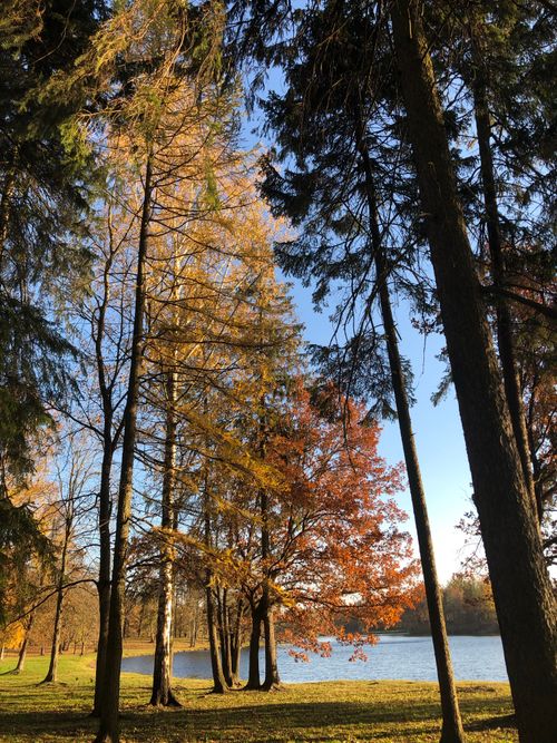 Free Scenic view of fall foliage and tranquil lake in Saint Petersburg, Russia. Stock Photo