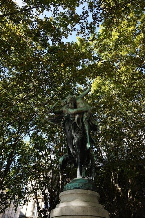 ブロンズ, 常緑樹, 彫刻の無料の写真素材