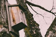 Brown Wooden Bird House on Tree