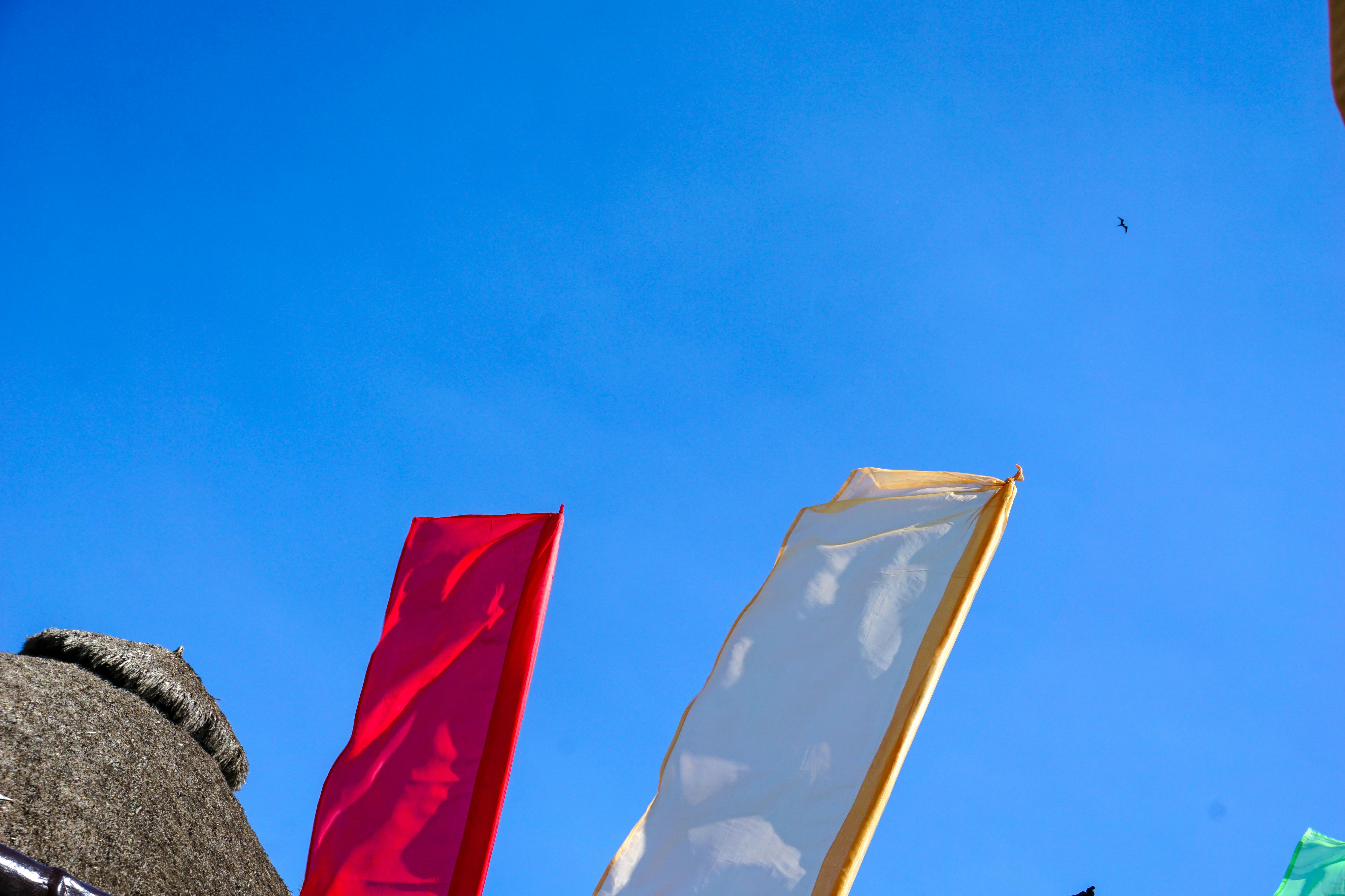 Free stock photo of blue sky, colours, flags