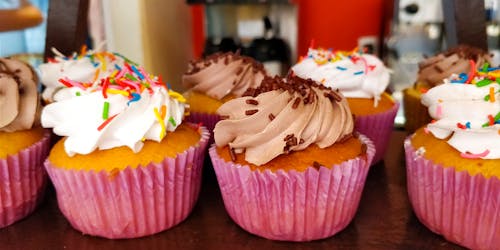 Free stock photo of cupcakes