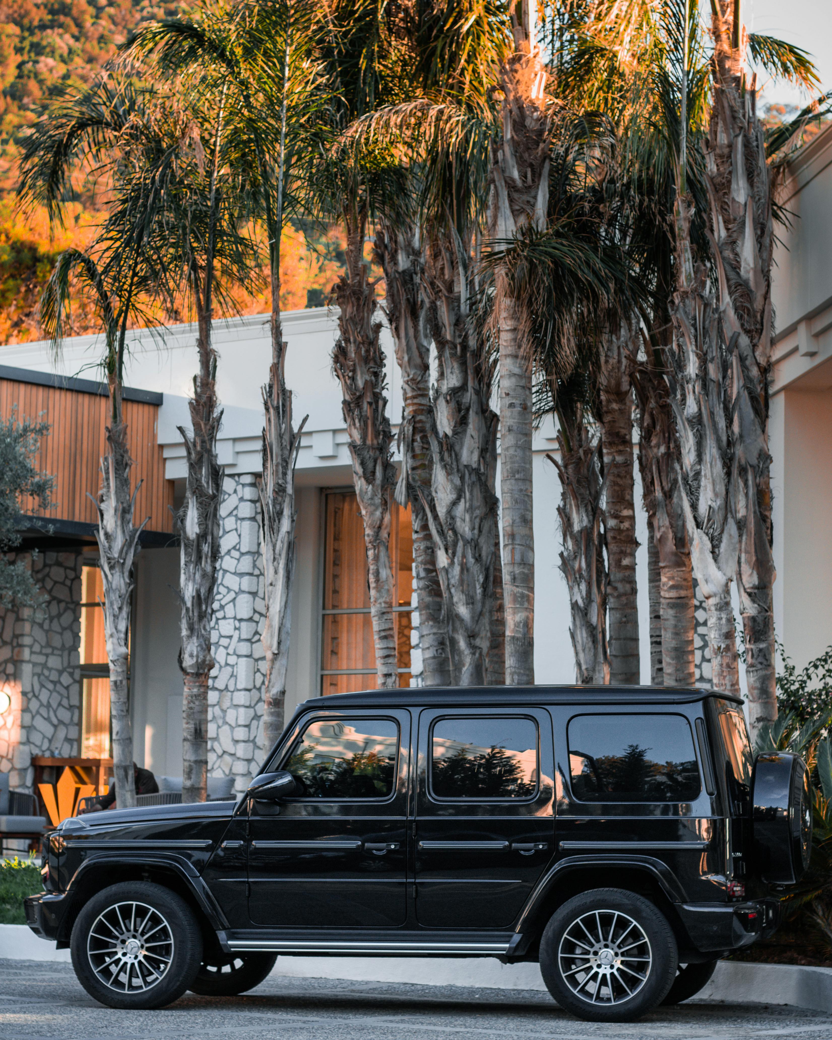 Black SUV Parked Beside the Palm Trees · Free Stock Photo