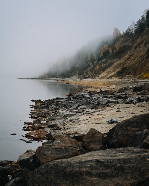 Fotos de stock gratuitas de a orillas del lago, al aire libre, con niebla