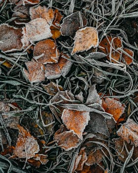 Image by Dmitriy Ganin