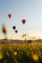 Balloons Over Grass Hill