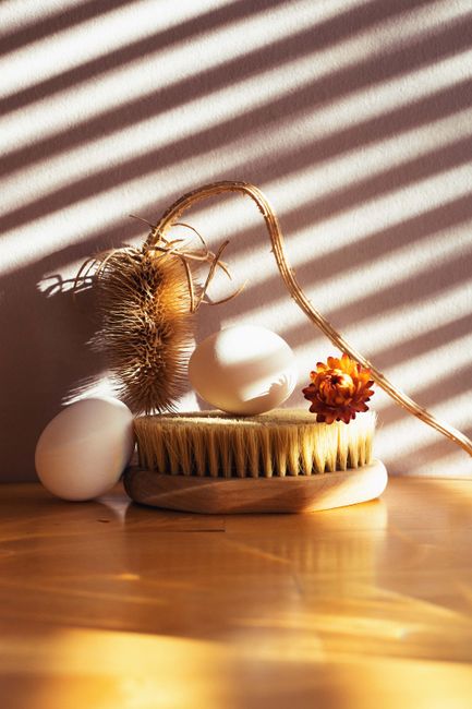 Artistic still life featuring eggs, brush, and dried flower with dramatic sunlight and shadows.