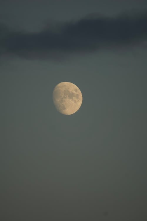 Foto profissional grátis de céu noturno, corpo astronômico, lua