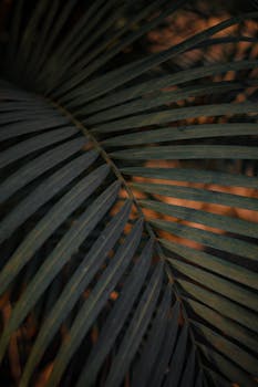 Detailed view of a palm leaf with dramatic lighting and earthy tones.