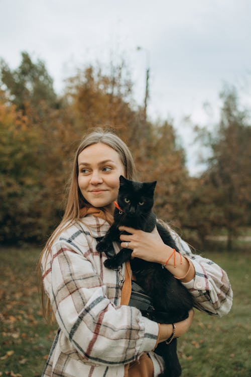 Immagine gratuita di alberi, amante degli animali, animale