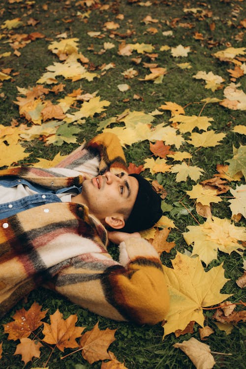 Man Lying on Grass Covered in Leaves