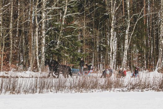 A winter sleigh ride through the snowy forests of Koleczkowo, Poland.