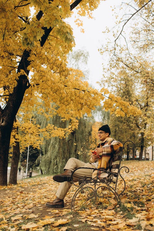 Side View Shot of a Man Resting on a Wooden Bench in Forest Park