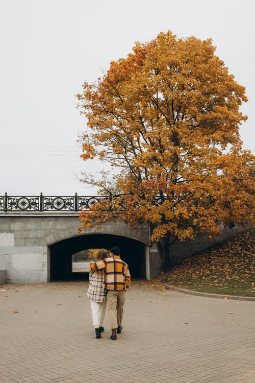 Free Couple walking arm-in-arm under a vibrant yellow autumn tree near a bridge. Stock Photo