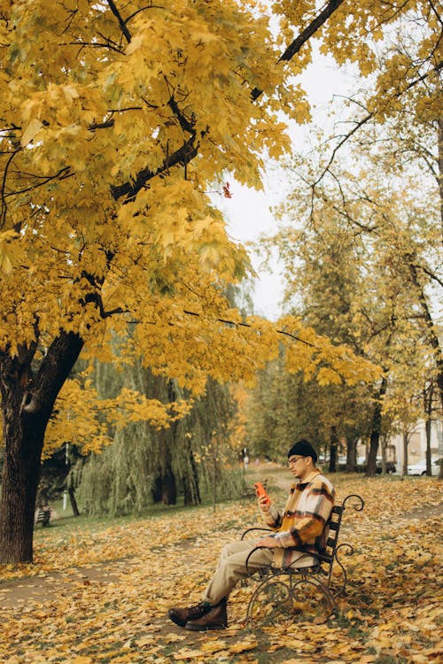 A Man Using a Cellphone While Sitting on a Bench of the Forest Park