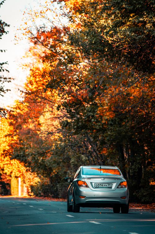 Free Silver car driving on a road surrounded by vibrant autumn foliage in Kaliningrad, Russia. Stock Photo
