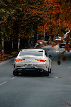 A white Mercedes Benz drives on a tree-lined street in fall, showcasing a serene autumn scene.
