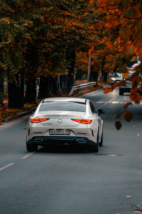 Free A white Mercedes Benz drives on a tree-lined street in fall, showcasing a serene autumn scene. Stock Photo