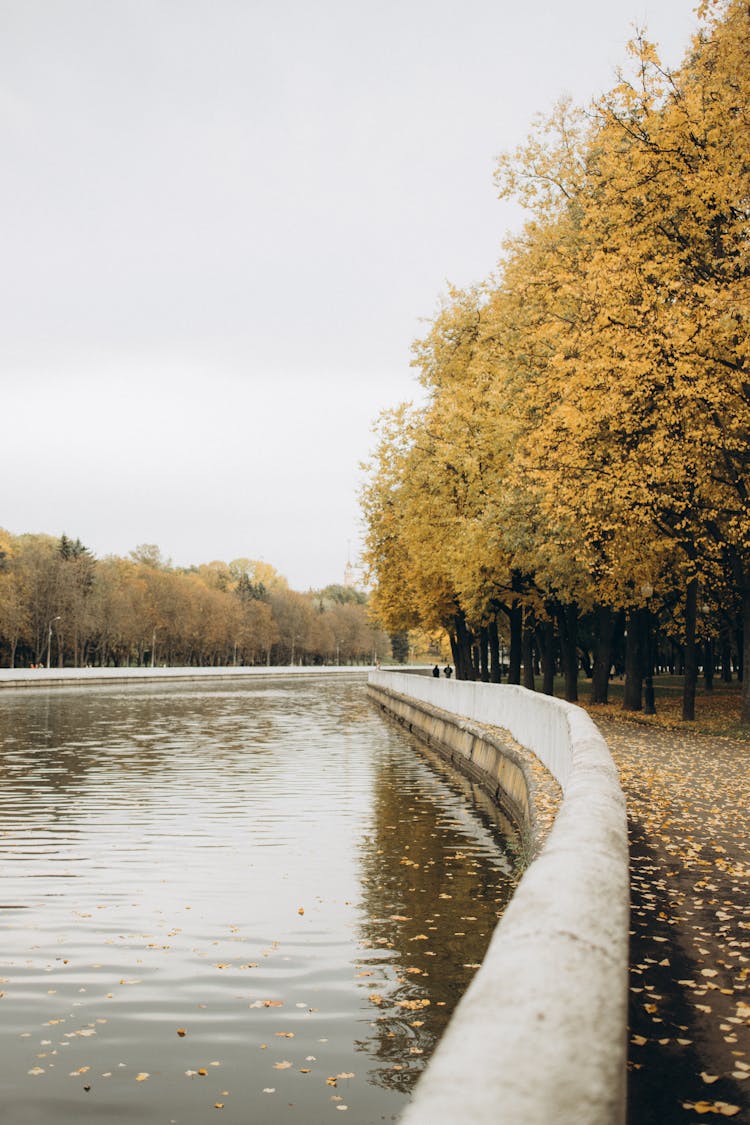 Autumn Path Running By Lake In City Park