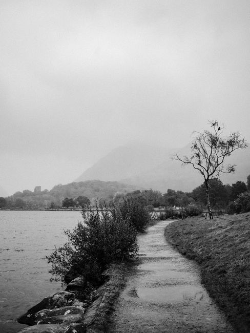 Explore the misty pathway by Llyn Gwynant in Wales, a serene monochrome landscape.