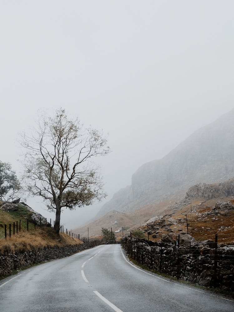 Country Road Leading Through Misty Mountains