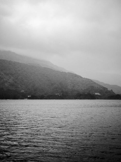 Foto profissional grátis de água, beira mar, colina