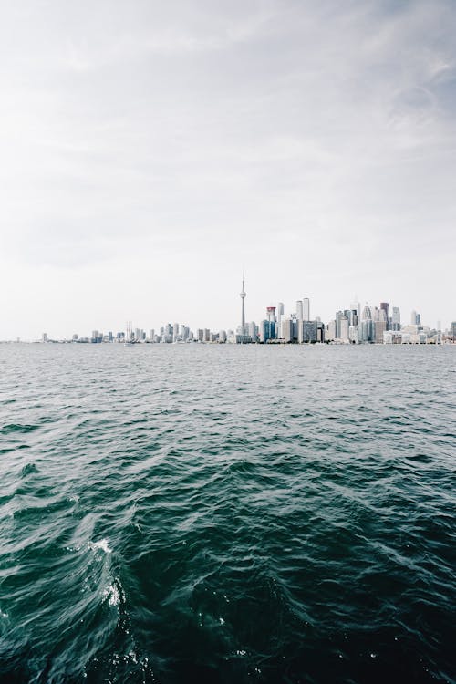 High Rise Buildings Near Body of Water