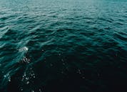 柔和的涟漪与宁静的蓝色色调捕捉了海洋表面的宁静