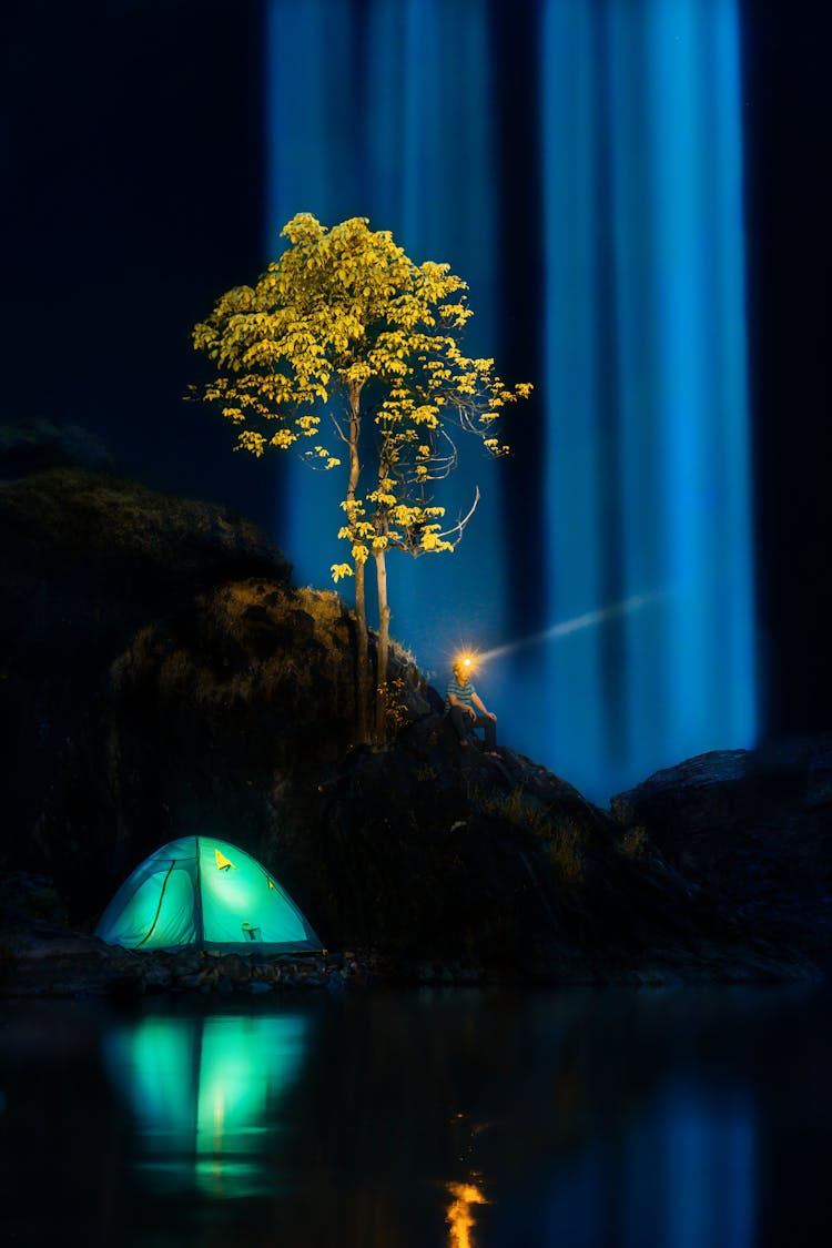 Tent Below Tree With Special Effects Applied